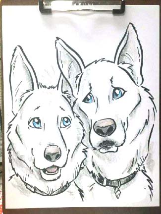 Tacoma Party Pet Caricatures