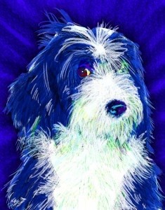 Orlando / Kissimmee Party Pet Caricatures